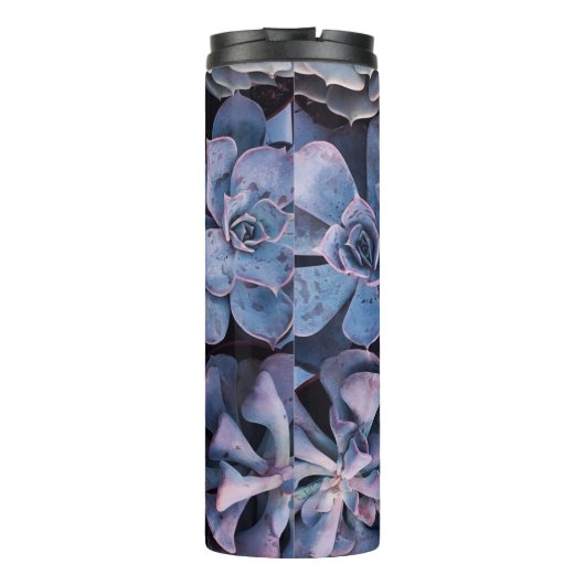 Gray succulents thermosbecher (Rückseite)
