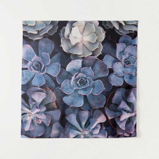 Gray succulents wandteppich (Vorderseite)