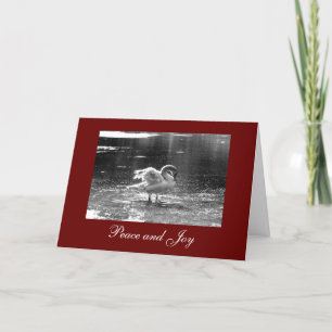 Gray Swan Christmas Card Feiertagskarte