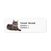 Gray Tabby Cat (Vorne)