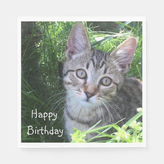 Gray Tabby Cat Birthday Serviette (Vorderseite)