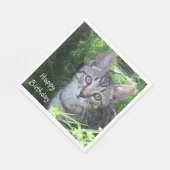 Gray Tabby Cat Birthday Serviette (Ecke)