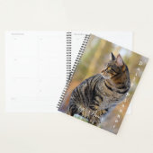 Gray Tabby Cat - Daily Planner - HAMbWG Planer (Anzeige)