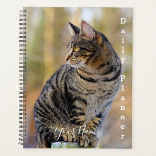 Gray Tabby Cat - Daily Planner - HAMbWG Planer
