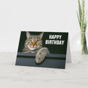 Gray Tabby Cat Face   Happy Birthday Karte