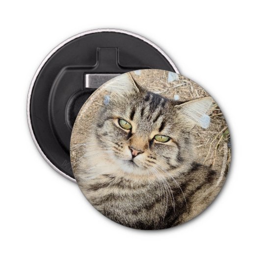 Gray Tabby Cat Flasche Opener Flaschenöffner (Vorderseite)