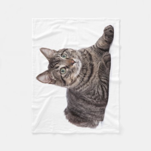 Gray Tabby Cat Fleecedecke (Vorderseite)