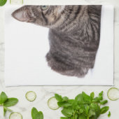 Gray Tabby Cat Geschirrtuch (Gefaltet)