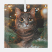 Gray Tabby Cat Glass Ornament (Vorderseite)