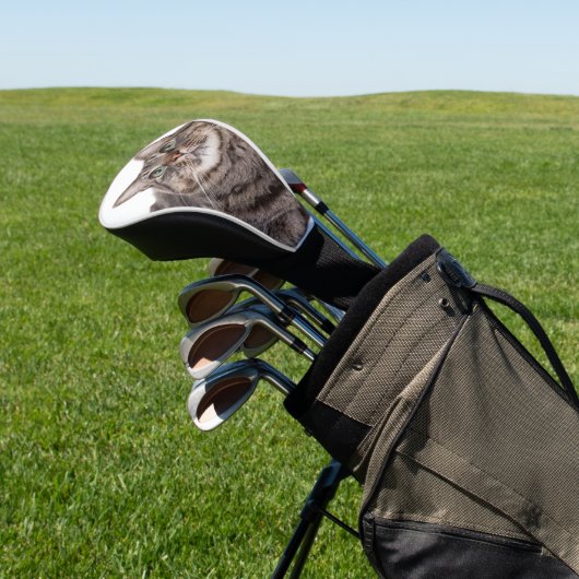 Gray Tabby Cat Golf Headcover (In SItu)
