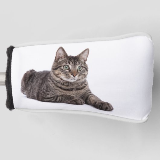 Gray Tabby Cat Golf Headcover (Vorderseite)