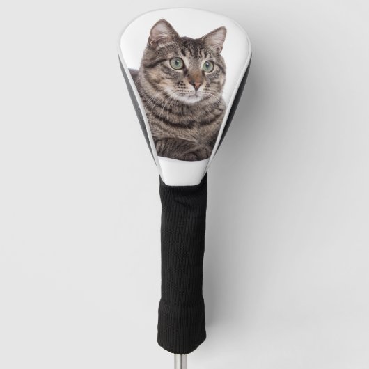 Gray Tabby Cat Golf Headcover (Vorderseite)