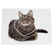 Gray Tabby Cat Große Geschenktüte (Vorderseite)