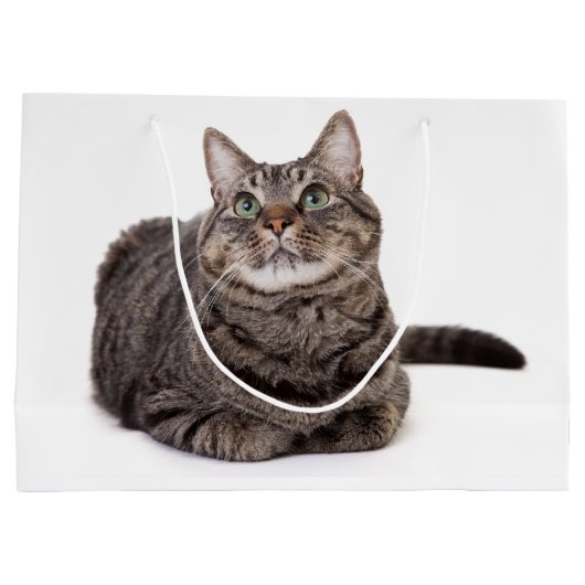 Gray Tabby Cat Große Geschenktüte (Rückseite)