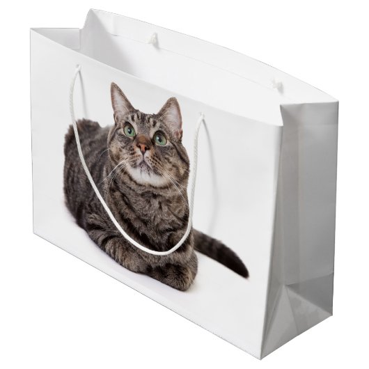 Gray Tabby Cat Große Geschenktüte (Rückseite Schrägansicht)