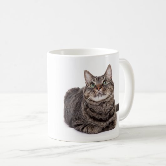 Gray Tabby Cat Kaffeetasse (VorderseiteRechts)
