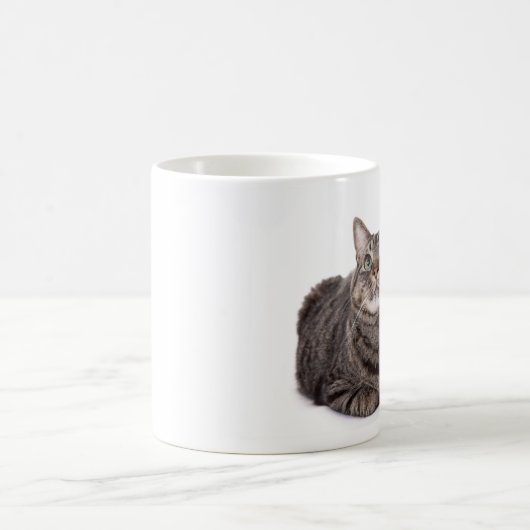 Gray Tabby Cat Kaffeetasse (Mittel)