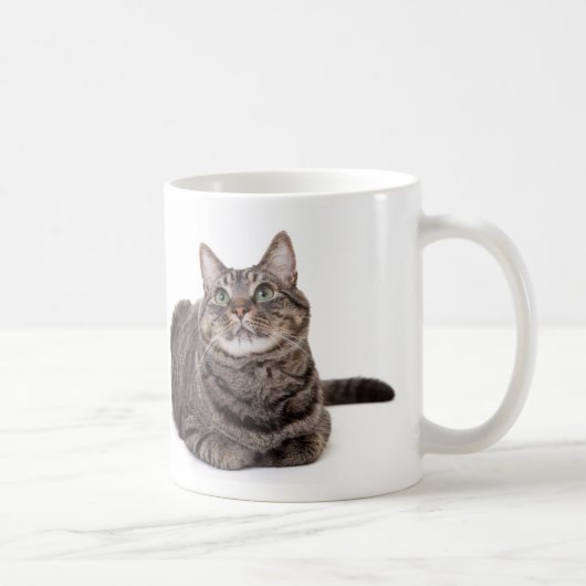 Gray Tabby Cat Kaffeetasse (Rechts)