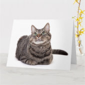 Gray Tabby Cat Karte (Gelbe Blume)