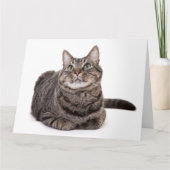 Gray Tabby Cat Karte (Vorderseite)