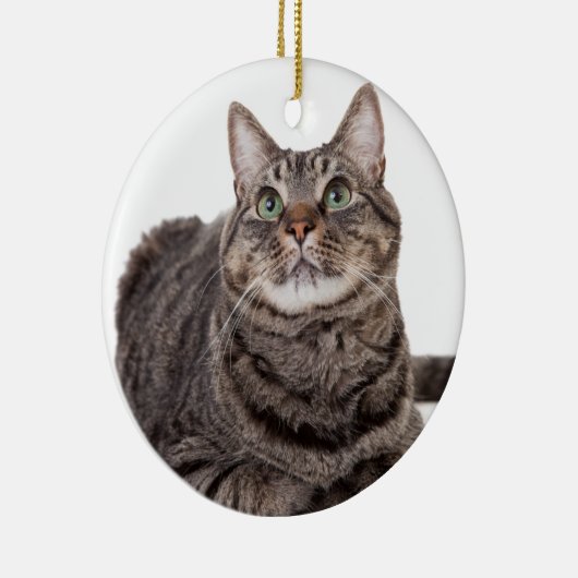 Gray Tabby Cat Keramik Ornament (Rechts)