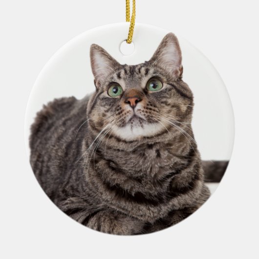 Gray Tabby Cat Keramik Ornament (Vorne)