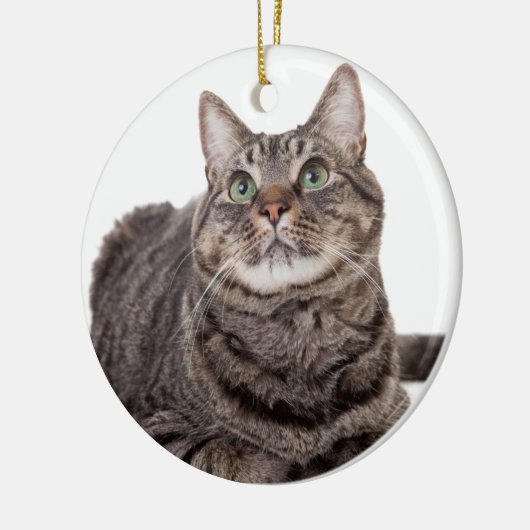 Gray Tabby Cat Keramik Ornament (Links)