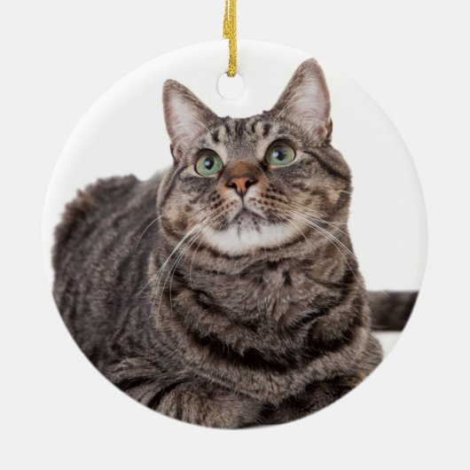 Gray Tabby Cat Keramik Ornament (Hinten)