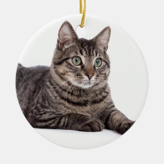 Gray Tabby Cat Keramik Ornament (Vorne)