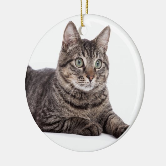 Gray Tabby Cat Keramik Ornament (Links)