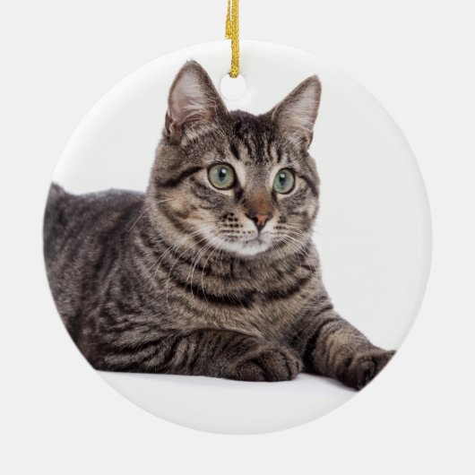 Gray Tabby Cat Keramik Ornament (Hinten)
