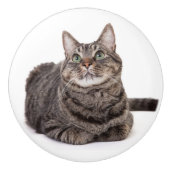 Gray Tabby Cat Keramikknauf (Vorderseite)