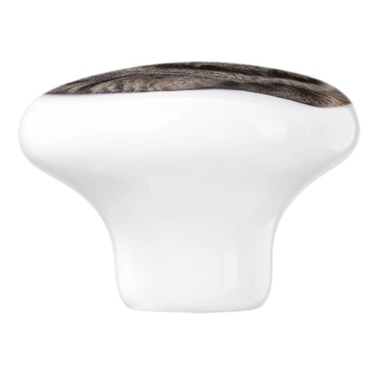 Gray Tabby Cat Keramikknauf (Seitenansicht)