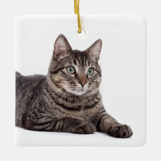 Gray Tabby Cat Keramikornament (Vorderseite)