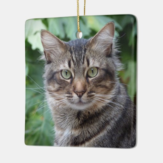 Gray Tabby Cat Keramikornament (Links)