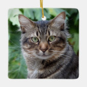 Gray Tabby Cat Keramikornament (Vorderseite)