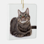 Gray Tabby Cat Keramikornament (Rechts)
