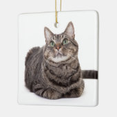 Gray Tabby Cat Keramikornament (Links)
