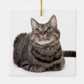 Gray Tabby Cat Keramikornament (Rückseite)