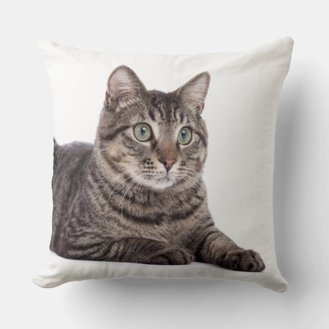 Gray Tabby Cat Kissen (Vorderseite)
