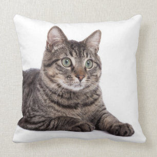 Gray Tabby Cat Kissen