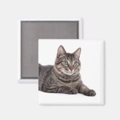 Gray Tabby Cat Magnet (Vorderseite/Rückseite)