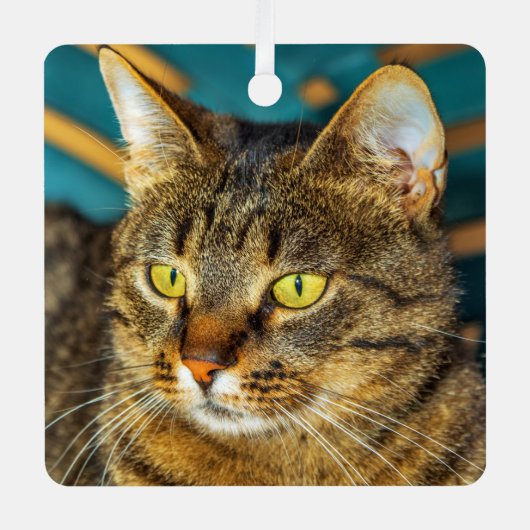 Gray Tabby Cat Metal Ornament Aus Metall (Vorderseite)