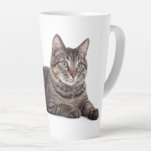 Gray Tabby Cat Milchtasse