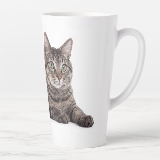 Gray Tabby Cat Milchtasse (Rechts)