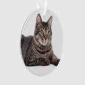 Gray Tabby Cat Ornament (Vorderseite)