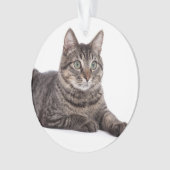 Gray Tabby Cat Ornament (Vorderseite)