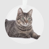 Gray Tabby Cat Ornament (Vorderseite)