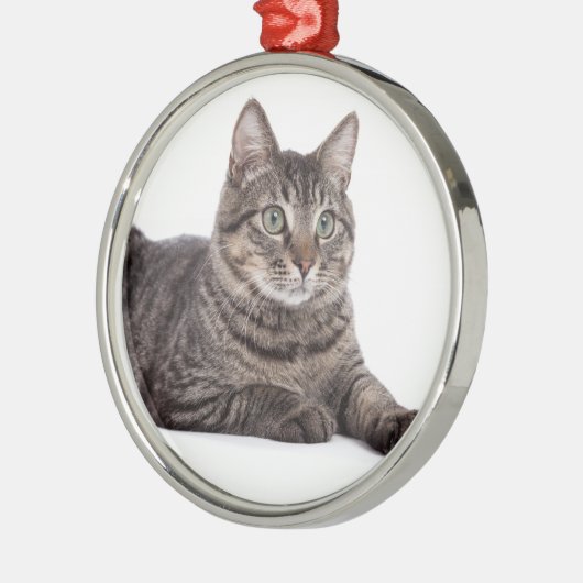 Gray Tabby Cat Ornament Aus Metall (Links)
