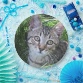 Gray Tabby Cat Pappteller (Party)